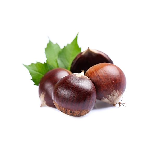 CASTAGNE<br> FRESCHE